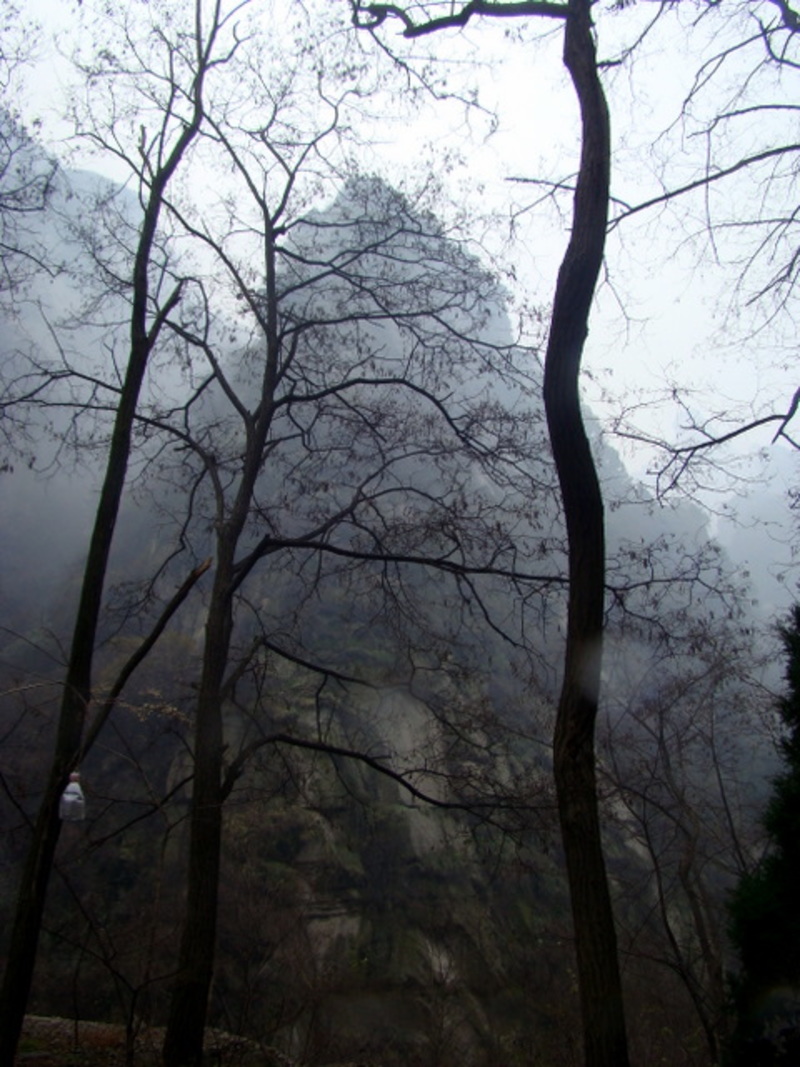 雾蒙蒙的山 雾蒙蒙的山