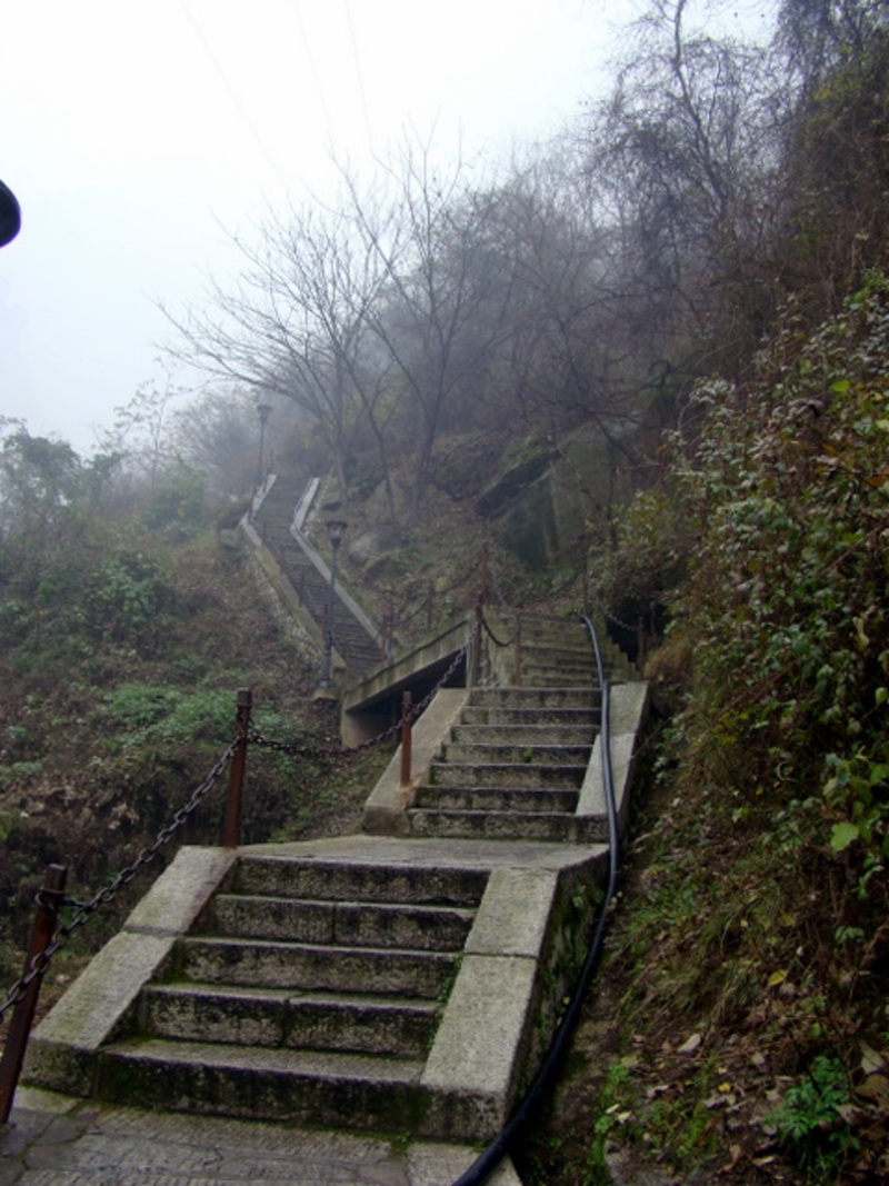 阶梯越来越多 阶梯越来越多