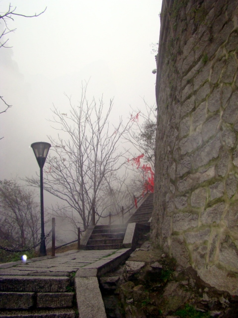 雾越来越大 雾越来越大